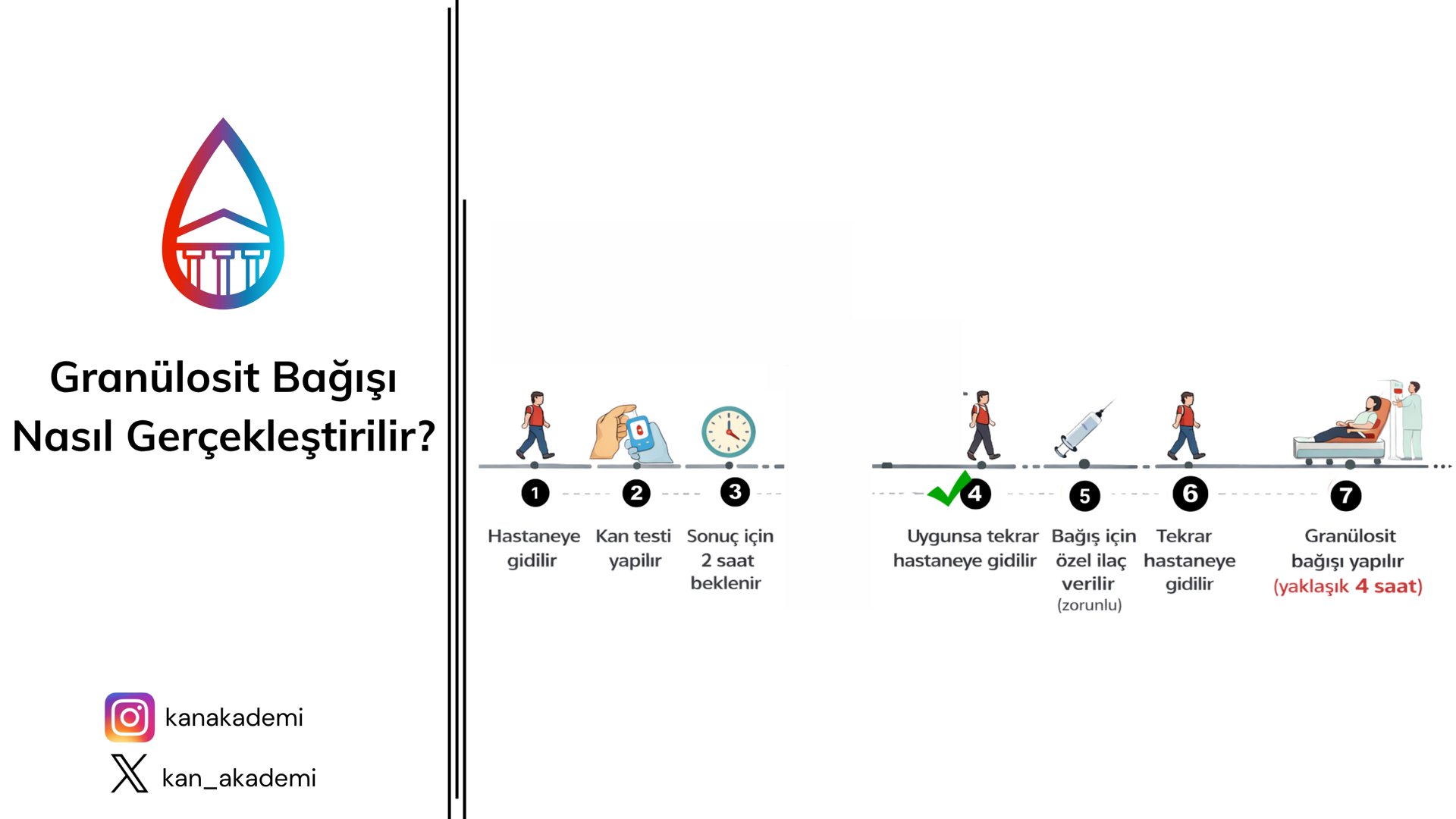 Granülosit Bağışı Nasıl Gerçekleştirilir?