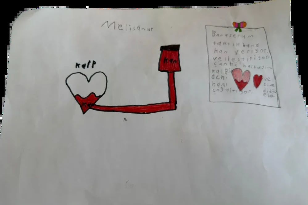 Melisa Nur, 7 yaşında çizimi