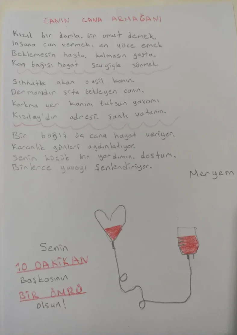 Meryem, 8 yaşında çizimi